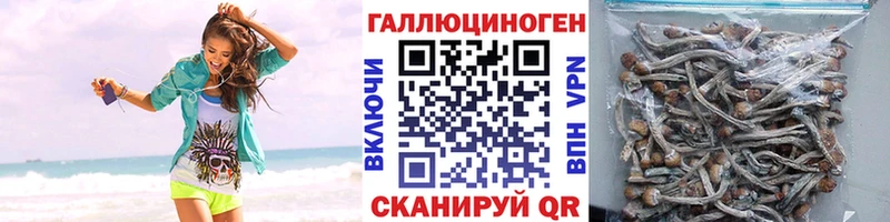 Псилоцибиновые грибы мухоморы  сколько стоит  Навашино 